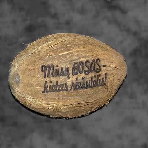 Lazeriu graviruotas kokoso riešutas "Mūsų Bosas - kietas riešutėlis" 